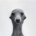 dick custom emote from Invictus