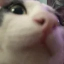lol