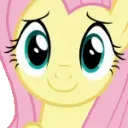 FlutterApplaud