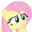 FlutterPonder