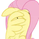 FlutterHide