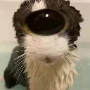 eyeofsog eyeofsog
