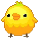 v_chick