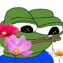 pepeflower pepeflower