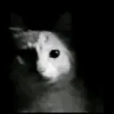 jgatocommedo
