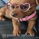 jdogo
