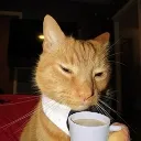 jgatocafe