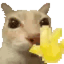 Hi