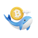 whale