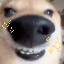 smilingdog