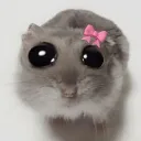 cutehammy