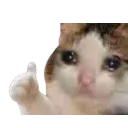 catthumbsupsad