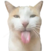 catlick Discord sticker - Sammy's Indie-Electro Lounge
