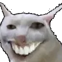 laughingcat
