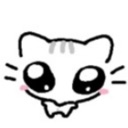 Catstare