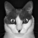 rudiewhenflutter