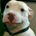 mmah
