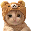 nyancatto custom emote | 𝐺𝑂𝑇𝐶/𝐸𝑚𝑜𝑗𝑖𝑠