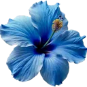 emoji_211