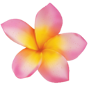 c_flowri Discord Emoji from Colony of weirdos 2.0