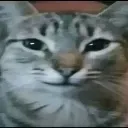 heh