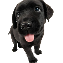 mlep Discord sticker from 𝐓𝐡𝐞 𝐂𝐫𝐞𝐚𝐭𝐮𝐫𝐞 𝐏𝐥𝐚𝐲𝐩𝐞𝐧