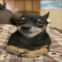 emoji_11