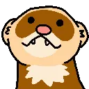 ferretnodfasttoast
