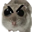 madhamster madhamster