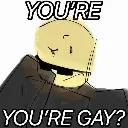 youre_gay