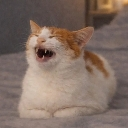 lol custom emote from Absolute Cinema