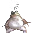Loading_frog