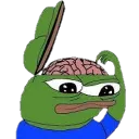 confused_frog