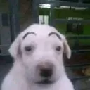 huh