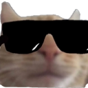 CoolShirocat Discord Emoji | 𝐺𝑂𝑇𝐶/𝐸𝑚𝑜𝑗𝑖𝑠