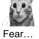 fear