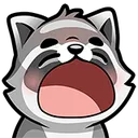 racoon_gasp