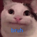 bruhbeluga animated Discord emote - Lunar Loft