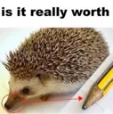 worthit