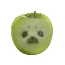 sealppe