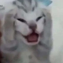 emoji_19 custom emote | Ngôi nhà chút chít ᥫᩣ