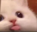 blep