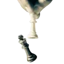 Cheese_Checkmate_Win