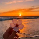 Flowersflowerspicture_flowerslov
