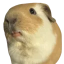 hehe