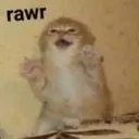 CatRawr