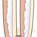 seia_ears2 seia_ears2