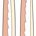 seia_ears4 seia_ears4