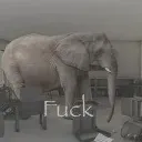 fuck