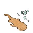 ottflop